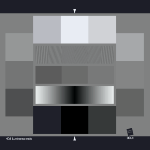 DCU1_ISO 15739 Noise chart